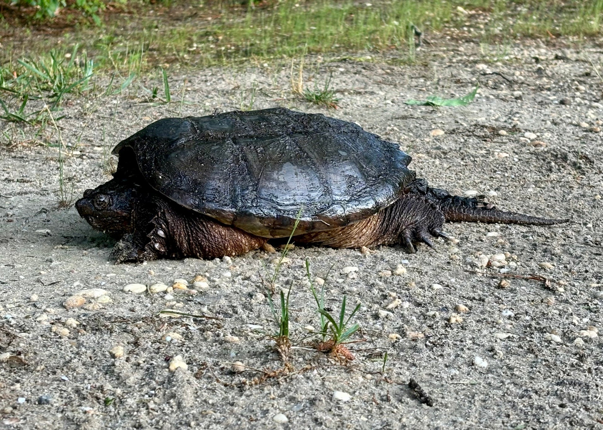 At the corner of Ivy Creek Dr & Winding Wood Dr