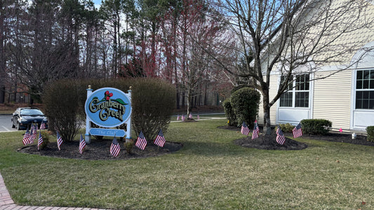 Cranberry Creek 2025