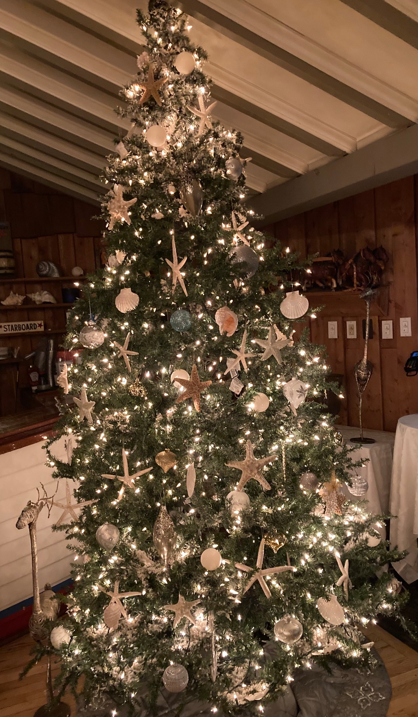 Cranberry Creek Holiday Party 2025