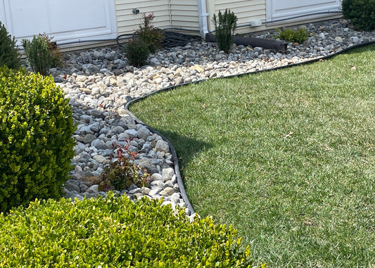 Clubhouse: Spring 2025