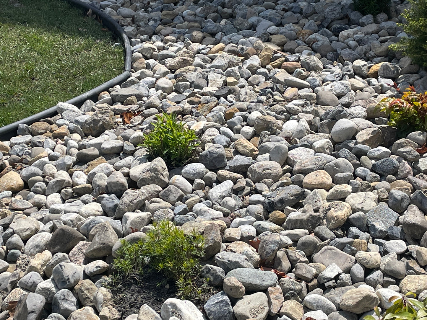 Clubhouse: Spring 2025