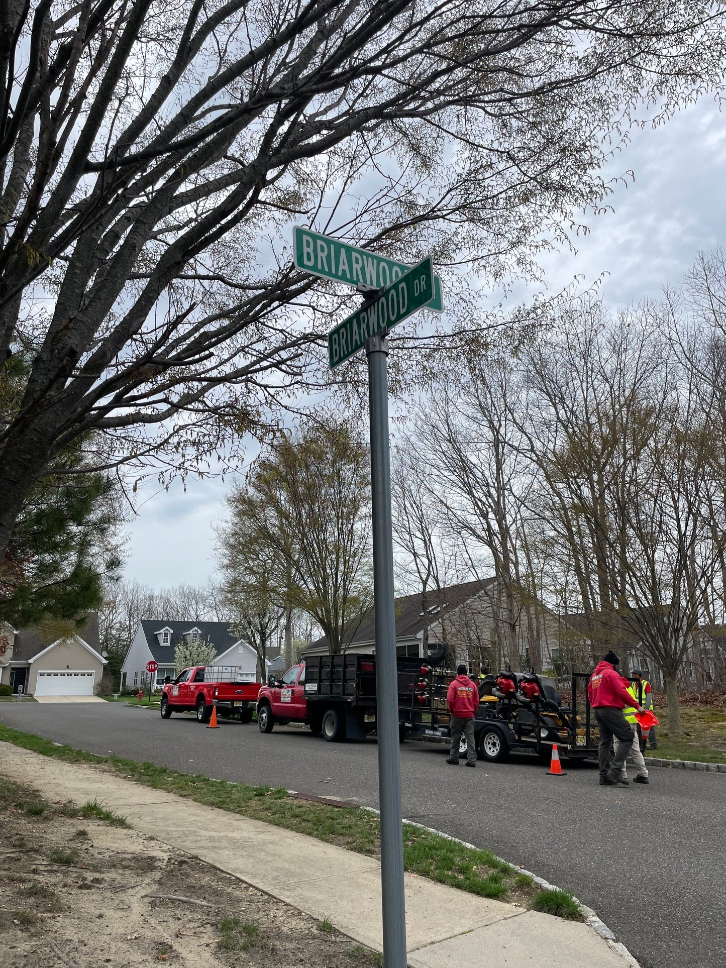 New Street Signs Installed Throughout the Community: Spring 2025