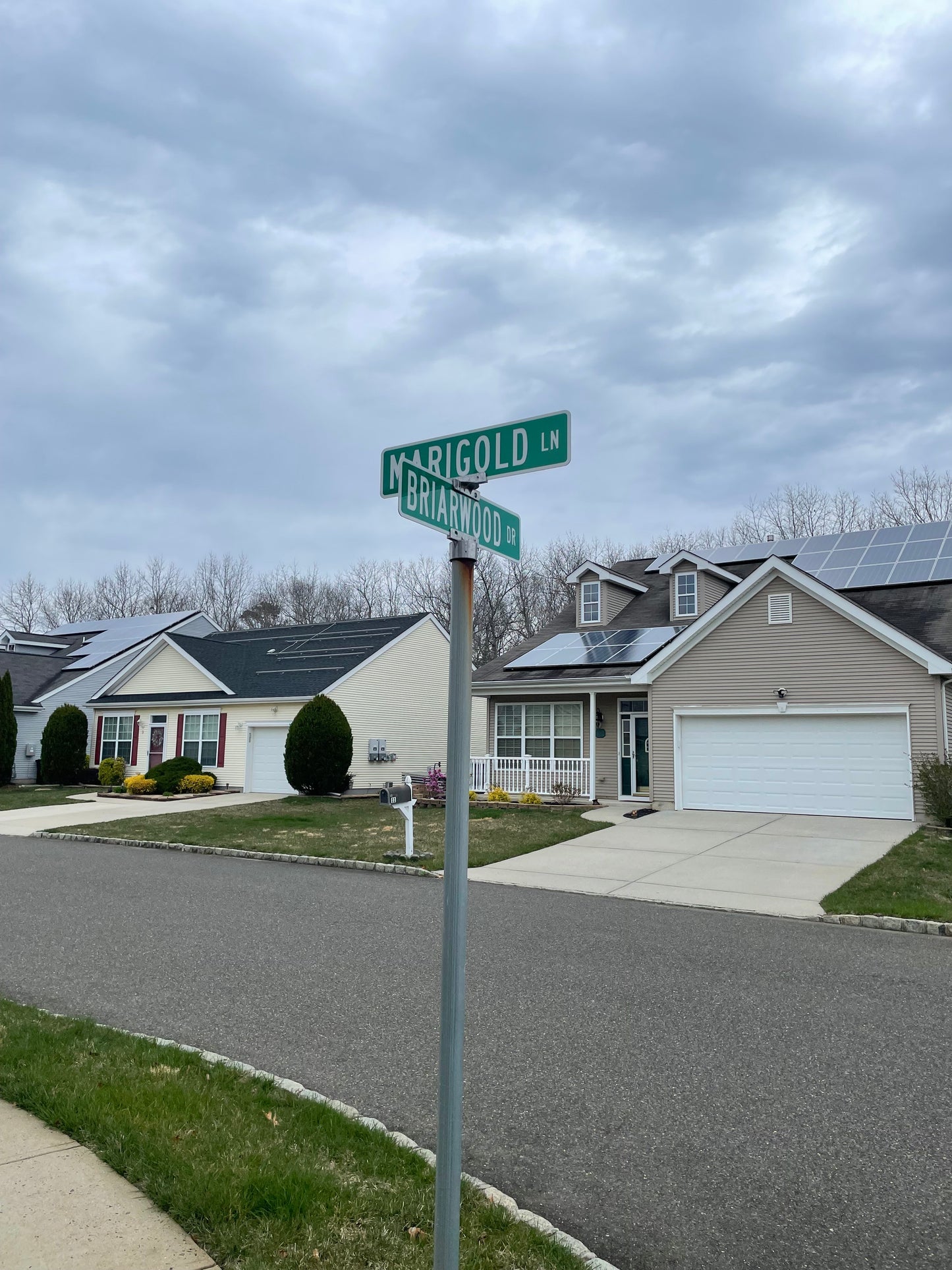 New Street Signs Installed Throughout the Community: Spring 2025